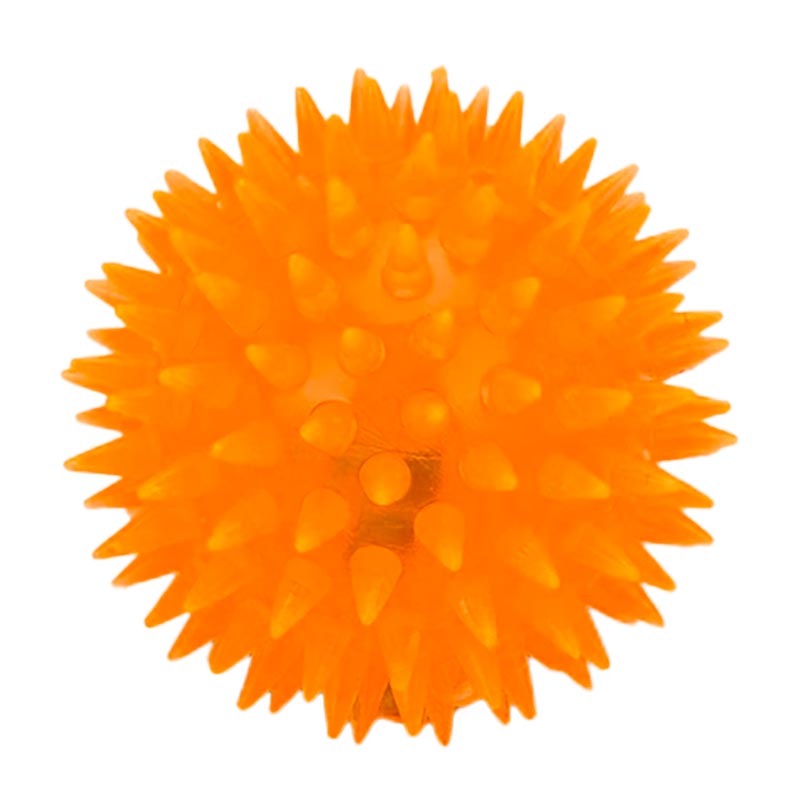 ������������ ���. PR24124 (576��) ������, 6,5 ��, 24 �� � �������