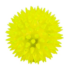 ������������ ���. PR24124 (576��) ������, 6,5 ��, 24 �� � �������