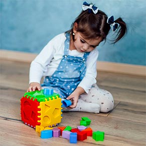 �������-������ "Educational cube" 24 ��., Tigres