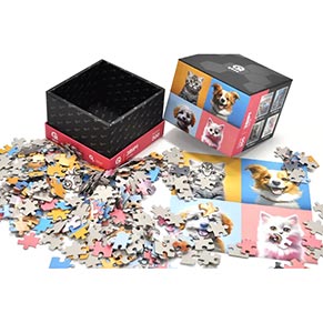 ����� - 300 ���. - QB500-007 "���� ����� �� �������" qbee
