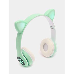 ��������� ��������� � ������� VIV-23M