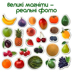 ��������� ���� Magnetic set "Fruits and berries" ML4031-11 EN