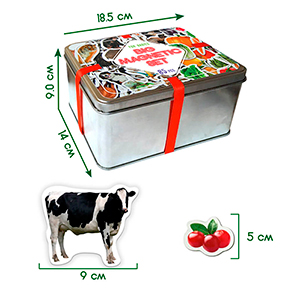 ���� ������� Magnetic set 110 ML4031-63 EN