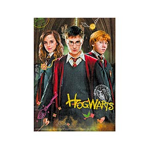 ���� Medium-S �Harry Potter. ���� �� ���系, 250 ��������