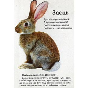 ������ ������  �-5 (��������� �� ������)