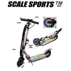���������� ������� SCALE SPORTS SS29 �������