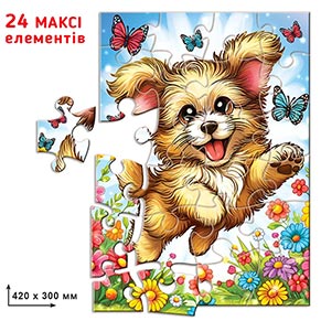 ���-���� 24 ������ ������