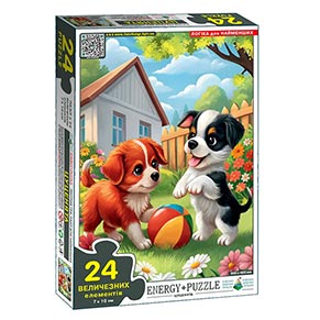���-���� 24 ��������