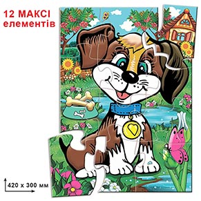 ���-���� 12 �����