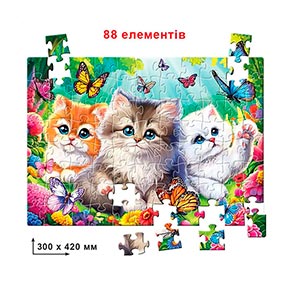 ���� 88 ������